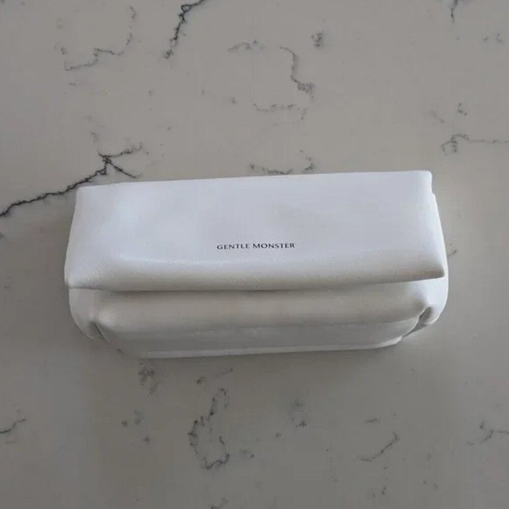 Gentle Monster sunglasses case, brand new